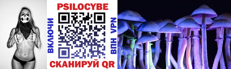 Галлюциногенные грибы Psilocybine cubensis  Купить закладки  Пудож 